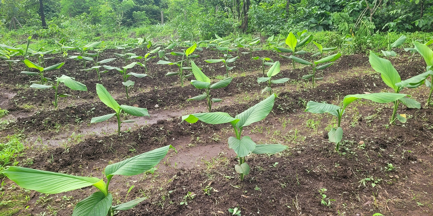 Farmstays Mumbai Maharashtra