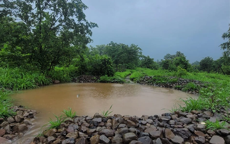 Natural water harvesting farm